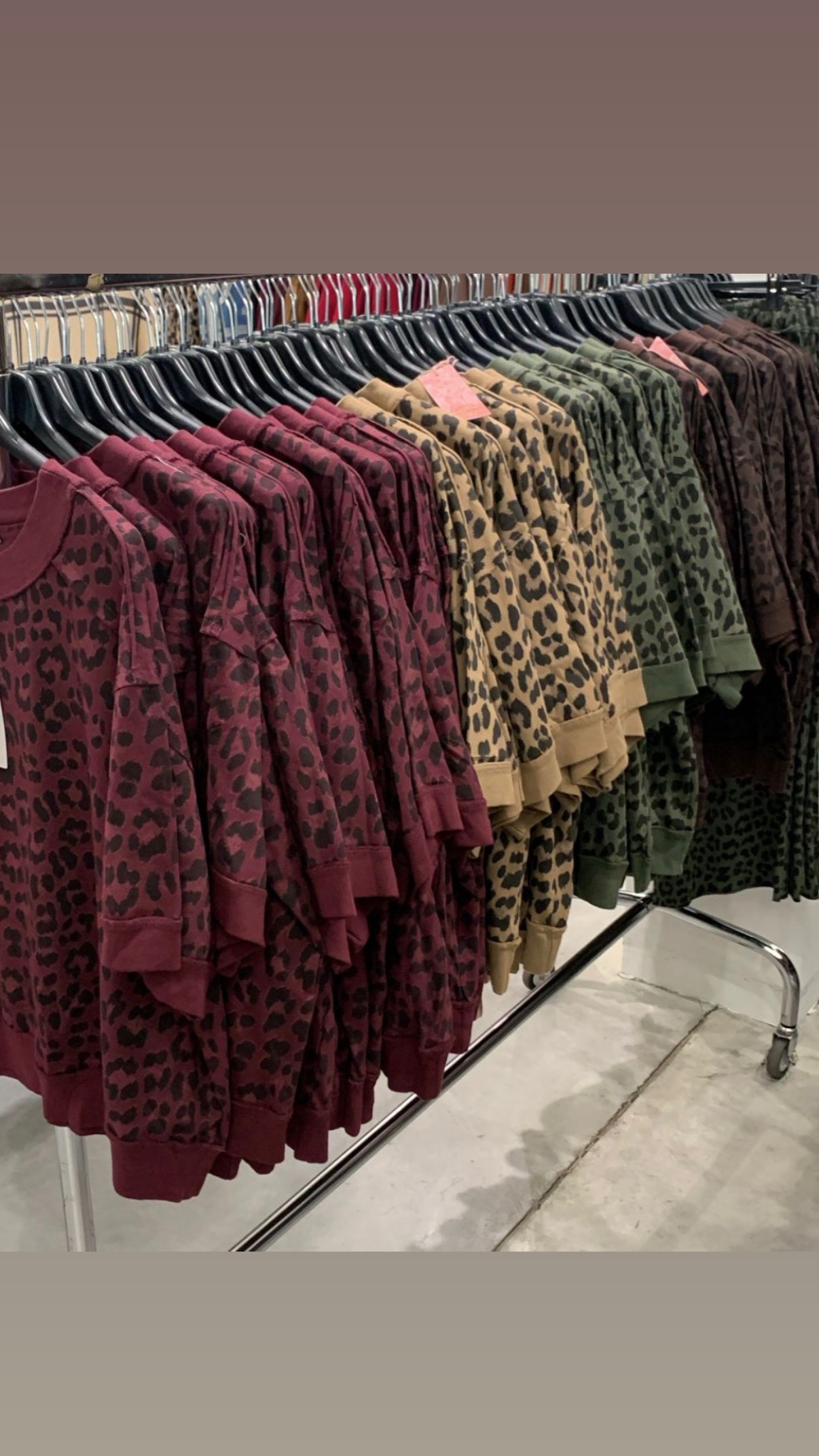 Sudadera animal - Imagen 2